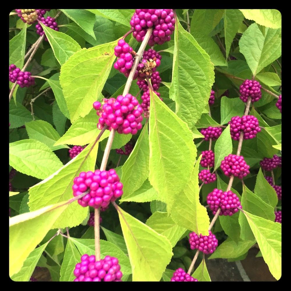 8 dollar sale today only!